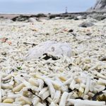 batatas-fritas-cobrem-praias-no-sul-da-inglaterra-apos-navio-perder-carga