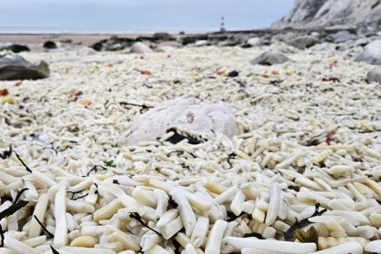 batatas-fritas-cobrem-praias-no-sul-da-inglaterra-apos-navio-perder-carga