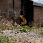 descubra-segredos-incriveis-do-caso-ufo-varginha-30-anos-depois