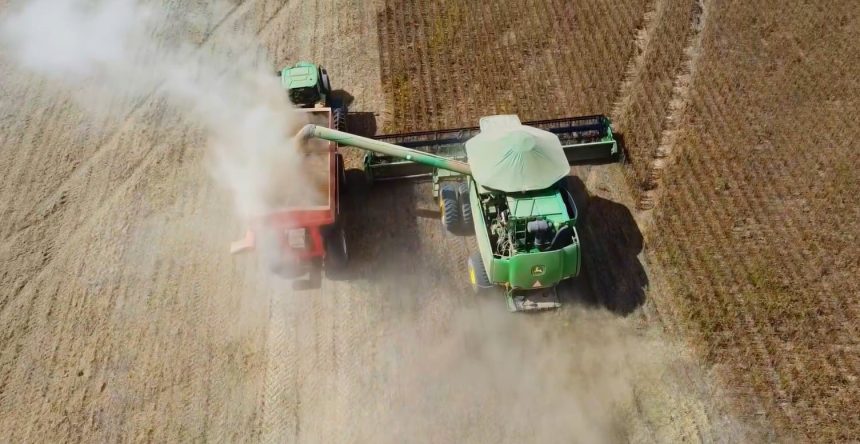 prazo-para-cadastrar-areas-de-soja-em-mato-grosso-termina-em-15-de-fevereiro