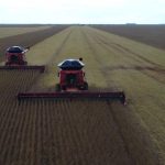 mato-grosso-impoe-teto-de-3,5-milhoes-de-toneladas-para-incentivo-a-soja-a-granel-em-2026