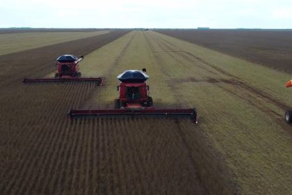 mato-grosso-impoe-teto-de-3,5-milhoes-de-toneladas-para-incentivo-a-soja-a-granel-em-2026