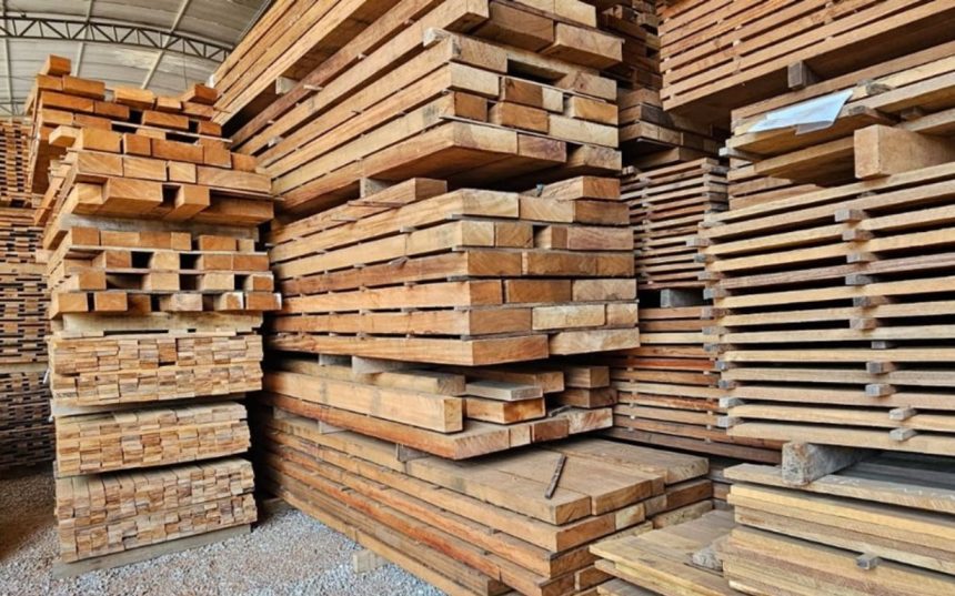 setor-da-madeira-movimenta-r$-3,17-bilhoes-e-reforca-peso-economico-em-mato-grosso
