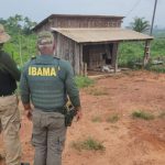 pf-prende-suspeito-de-assassinato-de-parceiro-do-ibama-na-ti-apyterewa