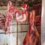 Imagem mostra materiais de açougue e restos de animais em local de abate clandestino.