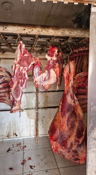 Imagem mostra materiais de açougue e restos de animais em local de abate clandestino.