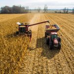 Vista panorâmica de uma lavoura de milho pronta para a colheita sob céu claro.