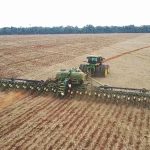 aumento-de-areas-liberadas-amplia-extensao-semeada-de-algodao-e-milho