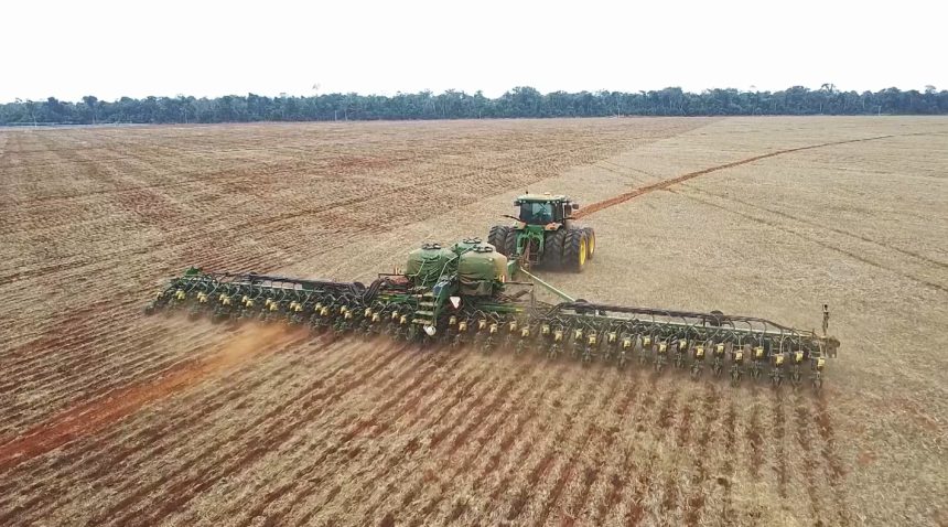 aumento-de-areas-liberadas-amplia-extensao-semeada-de-algodao-e-milho
