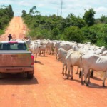 acrimat-em-acao-inicia-14a-edicao-e-vai-percorrer-32-municipios-em-2026