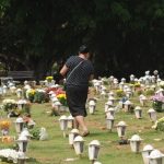 caes-e-gatos-podem-ser-sepultados-em-jazigos-familiares-em-sao-paulo