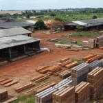 milho-em-alta:-juina-aposta-na-segunda-safra-para-impulsionar-a-pecuaria