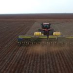 semeadura-do-algodao-entra-na-reta-final-em-mt;-milho-chega-na-metade