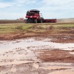 colheita-da-soja-alcanca-51%-sob-desafios-causados-pelas-chuvas