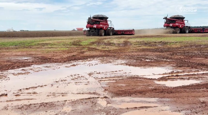 colheita-da-soja-alcanca-51%-sob-desafios-causados-pelas-chuvas