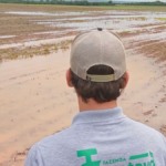 excesso-de-chuva-ameaca-produtividade-do-milho-em-paranatinga