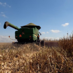 entre-a-lavoura-e-o-mercado,-a-cautela-prevalece-no-milho-em-mato-grosso