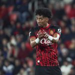 botafogo-mira-a-contratacao-de-jogador-de-selecao