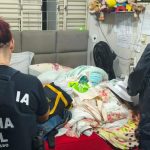 A Operação Mosaico cumpre 17 mandados em Mato Grosso contra esquema de lavagem de dinheiro de R$ 3 milhões ligado ao tráfico de drogas.