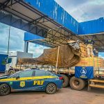 Agentes da PRF fiscalizam carga de madeira nativa em caminhão parado no acostamento da rodovia em Rondonópolis.