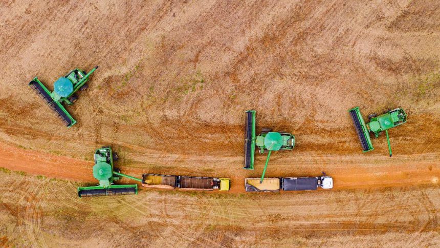 Mato Grosso expande seu comércio internacional e atinge 164 países compradores em 2025, consolidando a diversificação da pauta exportadora.