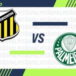 novorizontino-x-palmeiras:-provaveis-escalacoes,-onde-assistir,-arbitragem,-retrospecto-e-palpites