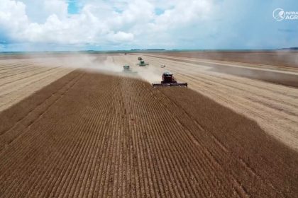 regiao-sudeste-e-a-mais-atrasada-na-soja-e-milho-em-mato-grosso