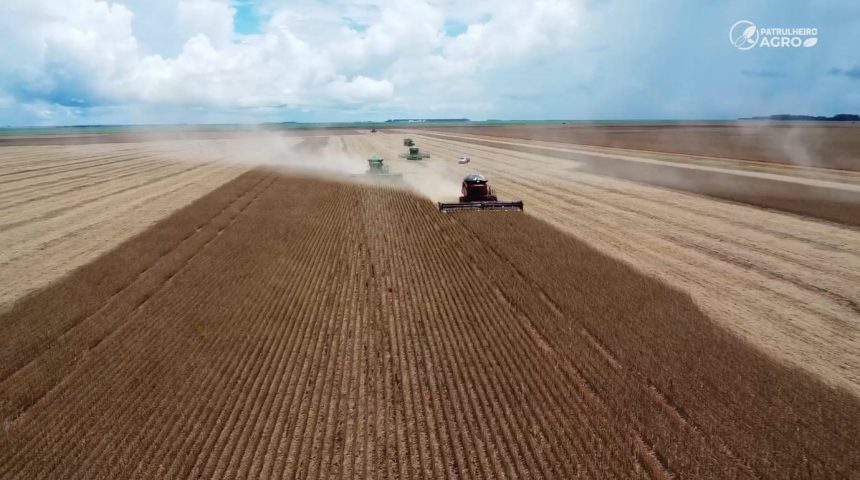 regiao-sudeste-e-a-mais-atrasada-na-soja-e-milho-em-mato-grosso