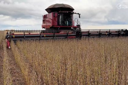 vendas-de-soja-seguem-cautelosas-em-mato-grosso-mesmo-com-“recuperacao”-de-precos