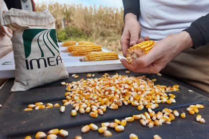 preco-da-ureia-sobe-30%-com-conflito-no-oriente-medio-e-ameaca-safra-2026/27-em-mt