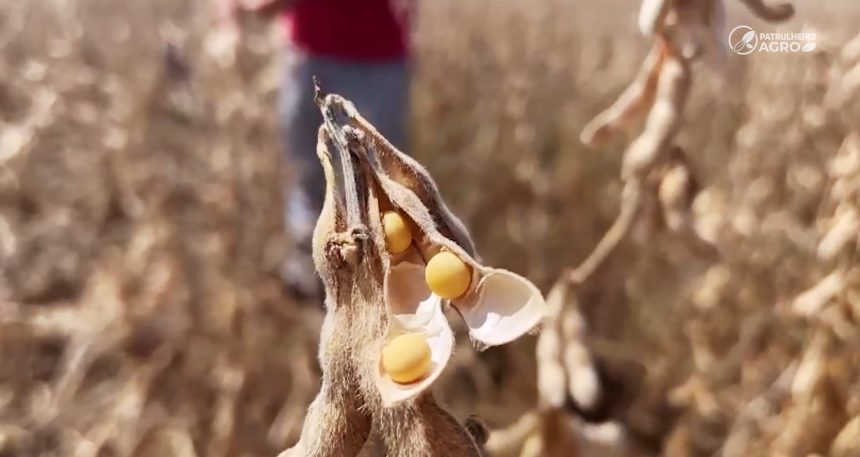 conflito-no-oriente-medio-ameaca-custo-de-fertilizantes-para-a-safra-26/27-em-mato-grosso