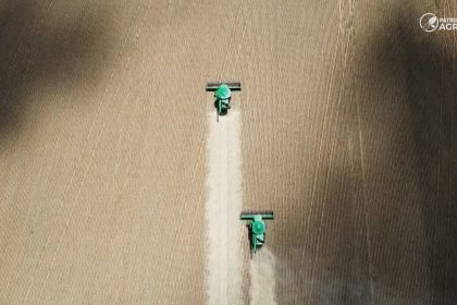 plantio-do-milho-encerra-em-mt-e-colheita-da-soja-passa-de-99%