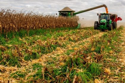 Atraso na colheita da soja em Mato Grosso pressiona janela do milho e produtores enfrentam alta nos custos e incertezas climáticas.