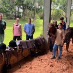 Sindicato Rural e Senar-MT entregam kits de equoterapia e garantem atendimentos gratuitos no Centro de Reabilitação Reviver em Rondonópolis.