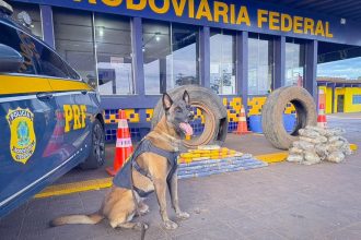 A PRF realizou uma grande apreensão de drogas em Rondonópolis, localizando 65 kg de entorpecentes em pneus com apoio de cão farejador.