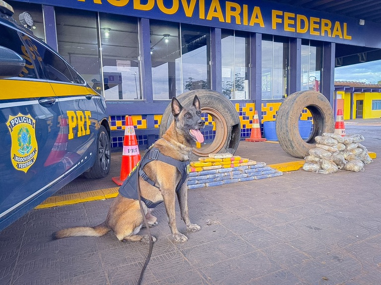 A PRF realizou uma grande apreensão de drogas em Rondonópolis, localizando 65 kg de entorpecentes em pneus com apoio de cão farejador.