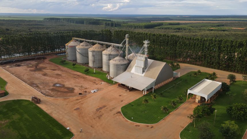 O déficit de armazenagem em Mato Grosso atinge 50% da safra, reduzindo o poder de negociação e a renda dos produtores rurais do estado.