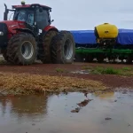 O excesso de chuva na soja em Marcelândia trava a colheita, causa perdas de 32% e isola produtores após decreto de estado de emergência.