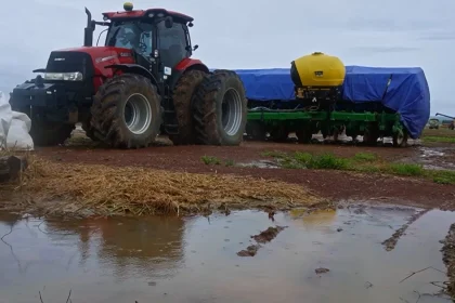 O excesso de chuva na soja em Marcelândia trava a colheita, causa perdas de 32% e isola produtores após decreto de estado de emergência.