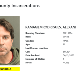 alexandre-ramagem-e-solto-de-prisao-do-ice-nos-eua