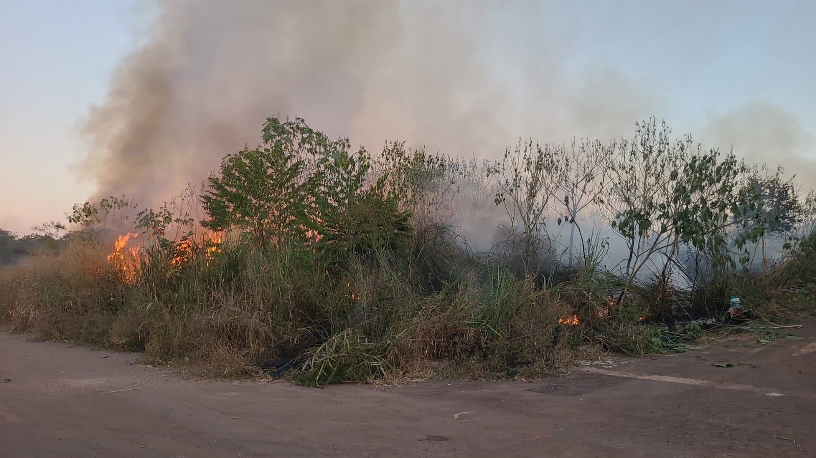 Queimadas preocupam Rondonópolis e município alerta sobre riscos