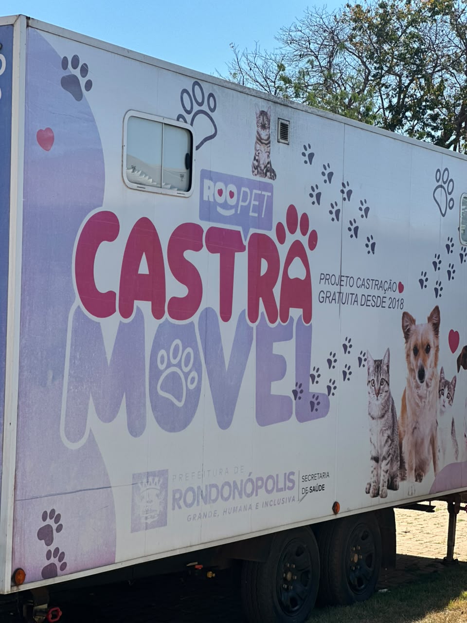 Prefeitura realiza 3.455 castrações e intensifica bem-estar animal