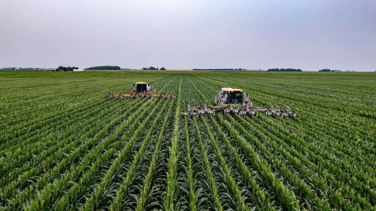 Governo intensifica monitoramento do Super El Niño e seus efeitos na agricultura