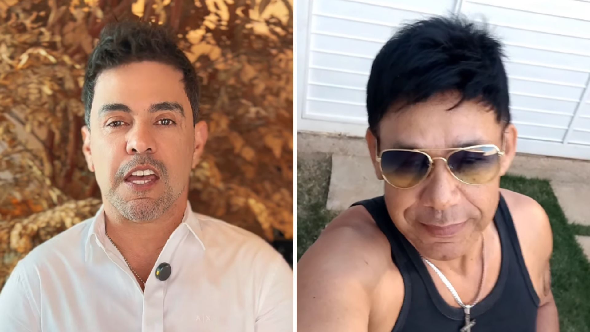Sósia de cantor famoso: quando imitação ultrapassa limites legais