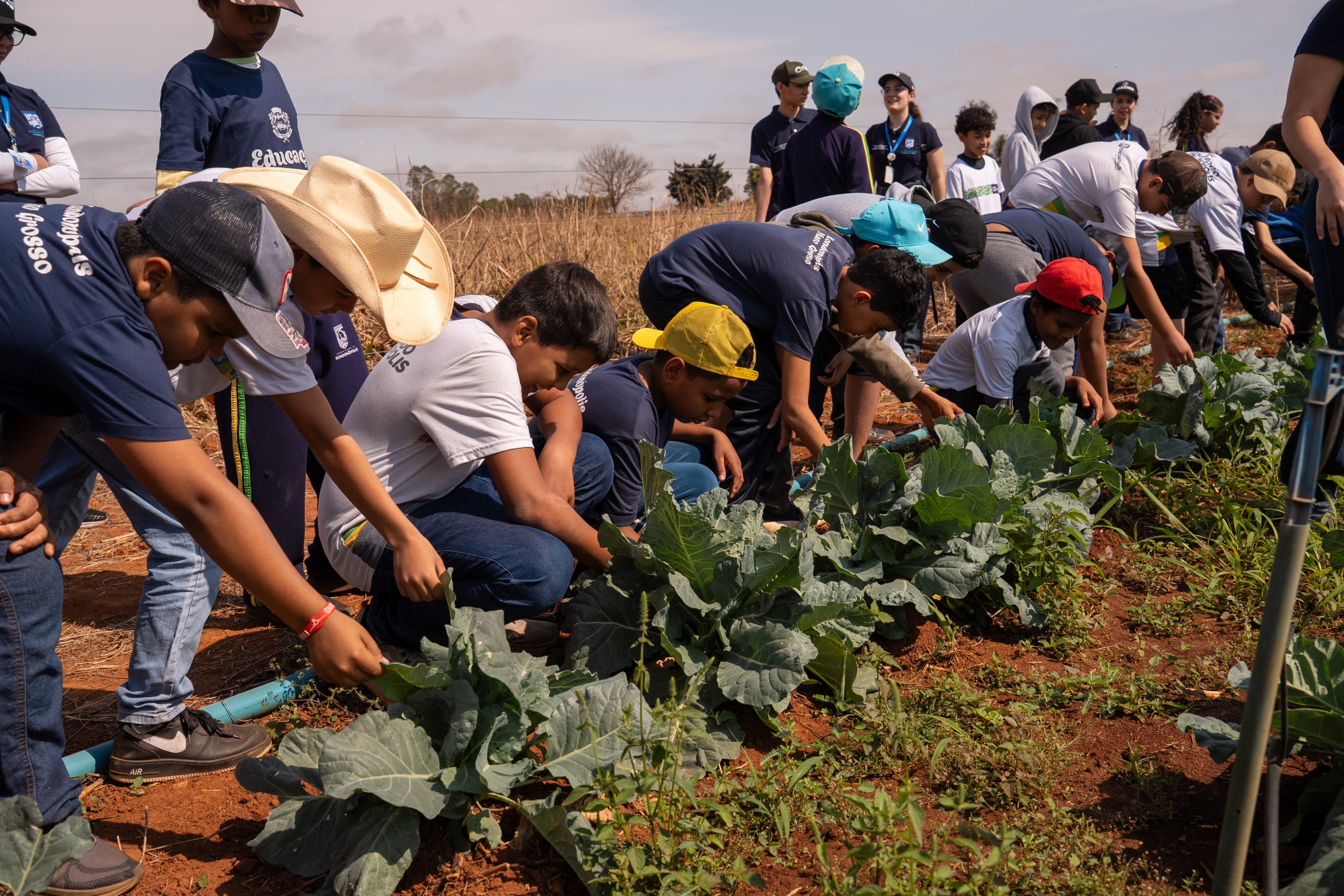 Alunos da rede municipal visitam horta e aprendem sobre cultivo de hortaliças