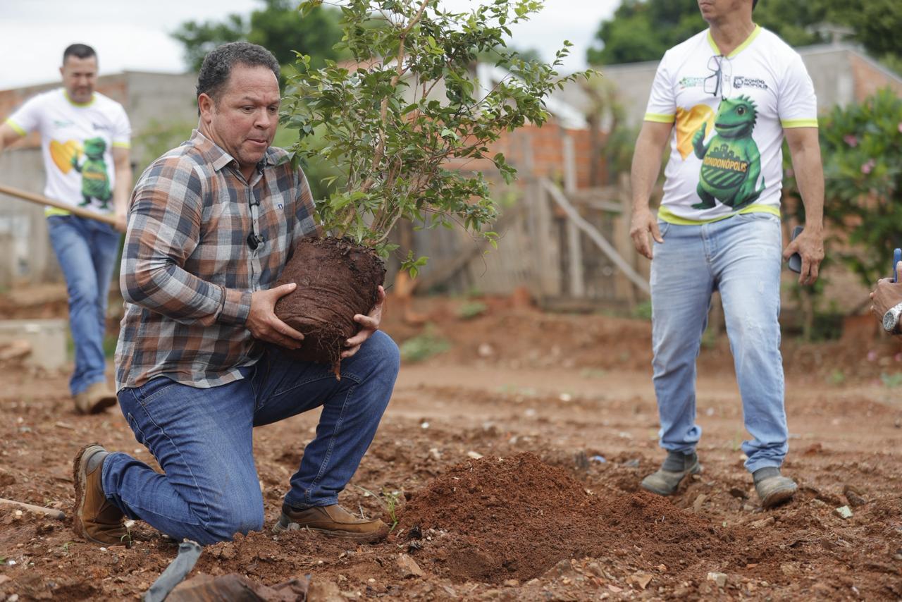 Rondonópolis conquista dois selos internacionais por arborização urbana sustentável