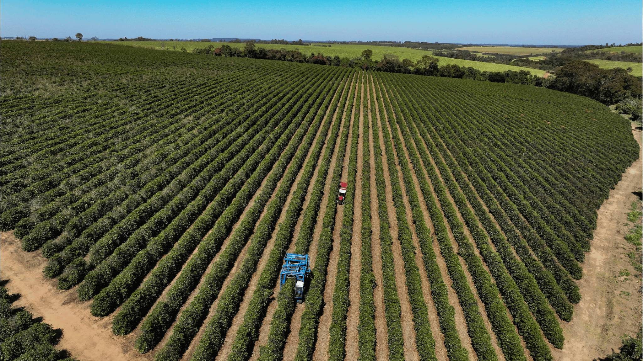Setor agrícola demanda políticas permanentes para superar juros elevados e riscos climáticos